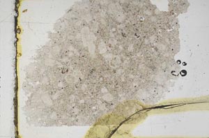 Plane Polarized, S48190