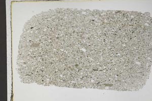 Plane Polarized, S48191