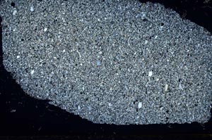 Cross Polarized, S48192