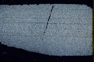 Cross Polarized, S48193