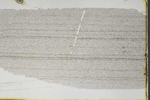 Plane Polarized, S48193