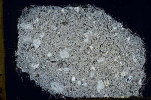 Cross Polarized, S48195