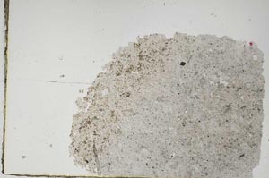 Plane Polarized, S48197