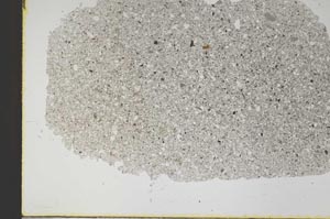 Plane Polarized, S48198