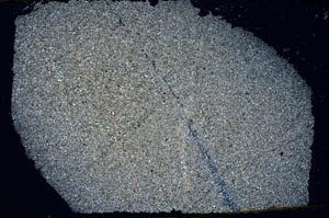 Cross Polarized, S48205