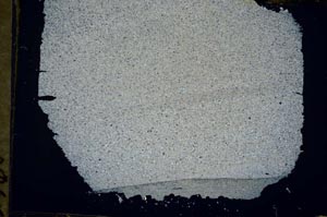 Cross Polarized, S48206