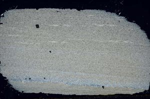 Cross Polarized, S48208