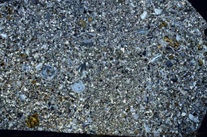 Cross Polarized, S48209