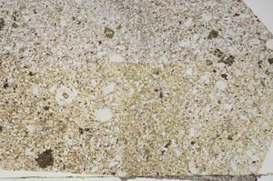 Plane Polarized, S48209/A