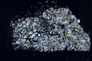 Cross Polarized, S48225