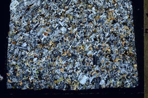 Cross Polarized, S48225/A