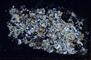 Cross Polarized, S48226