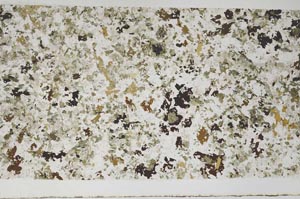 Plane Polarized, S48226/A