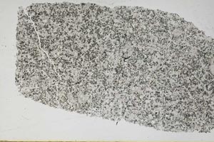 Plane Polarized, S48227