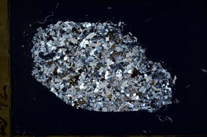 Cross Polarized, S48228