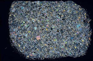 Cross Polarized, S48233