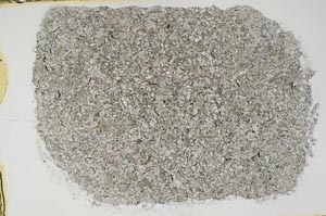 Plane Polarized, S48233