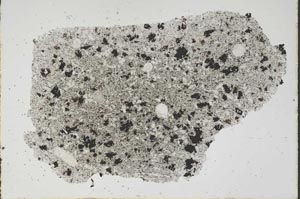 Plane Polarized, S48243