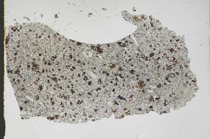 Plane Polarized, S48254
