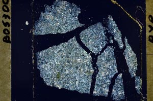 Cross Polarized, S48271