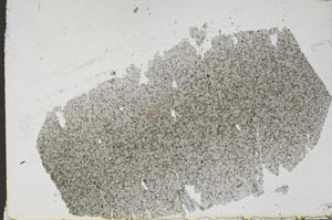 Plane Polarized, S48288