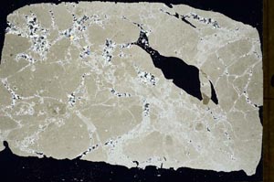 Cross Polarized, S48289