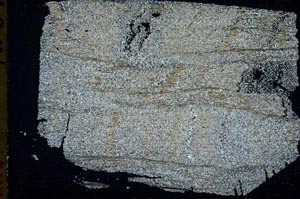 Cross Polarized, S48295