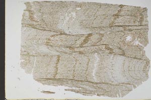 Plane Polarized, S48295