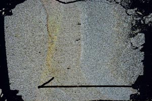 Cross Polarized, S48296