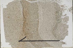 Plane Polarized, S48296