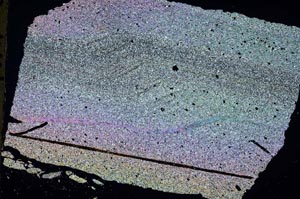 Cross Polarized, S48297