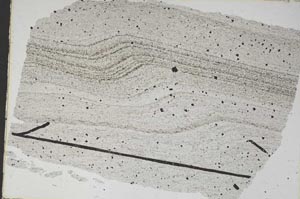 Plane Polarized, S48297