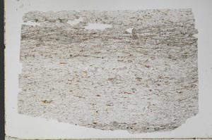 Plane Polarized, S48311
