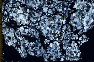 Cross Polarized, S48312