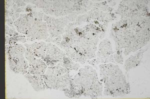 Plane Polarized, S48312