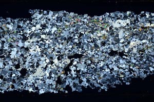 Cross Polarized, S48313