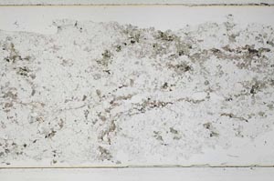 Plane Polarized, S48313