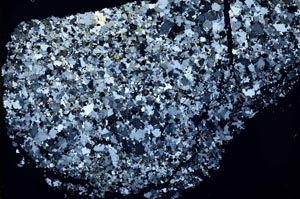 Cross Polarized, S48316