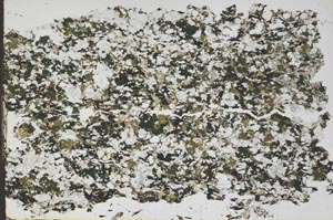 Plane Polarized, S48317