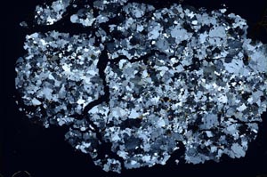 Cross Polarized, S48318