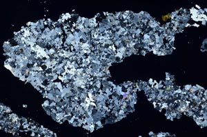 Cross Polarized, S48319