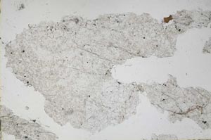 Plane Polarized, S48319