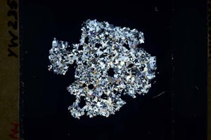 Cross Polarized, S48320