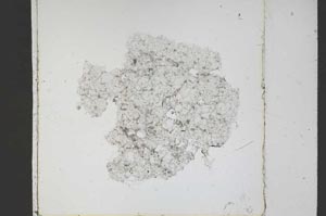 Plane Polarized, S48320