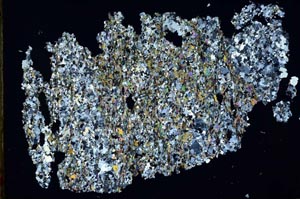 Cross Polarized, S48321