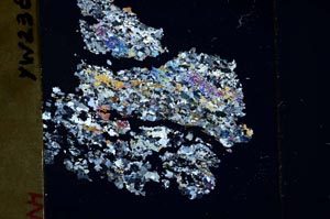 Cross Polarized, S48323