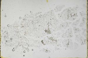 Plane Polarized, S48324