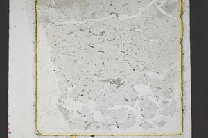 Plane Polarized, S48334