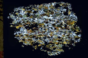 Cross Polarized, S48336