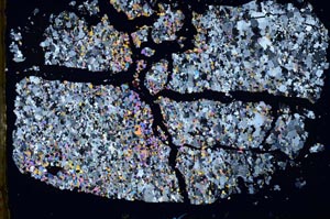 Cross Polarized, S48337